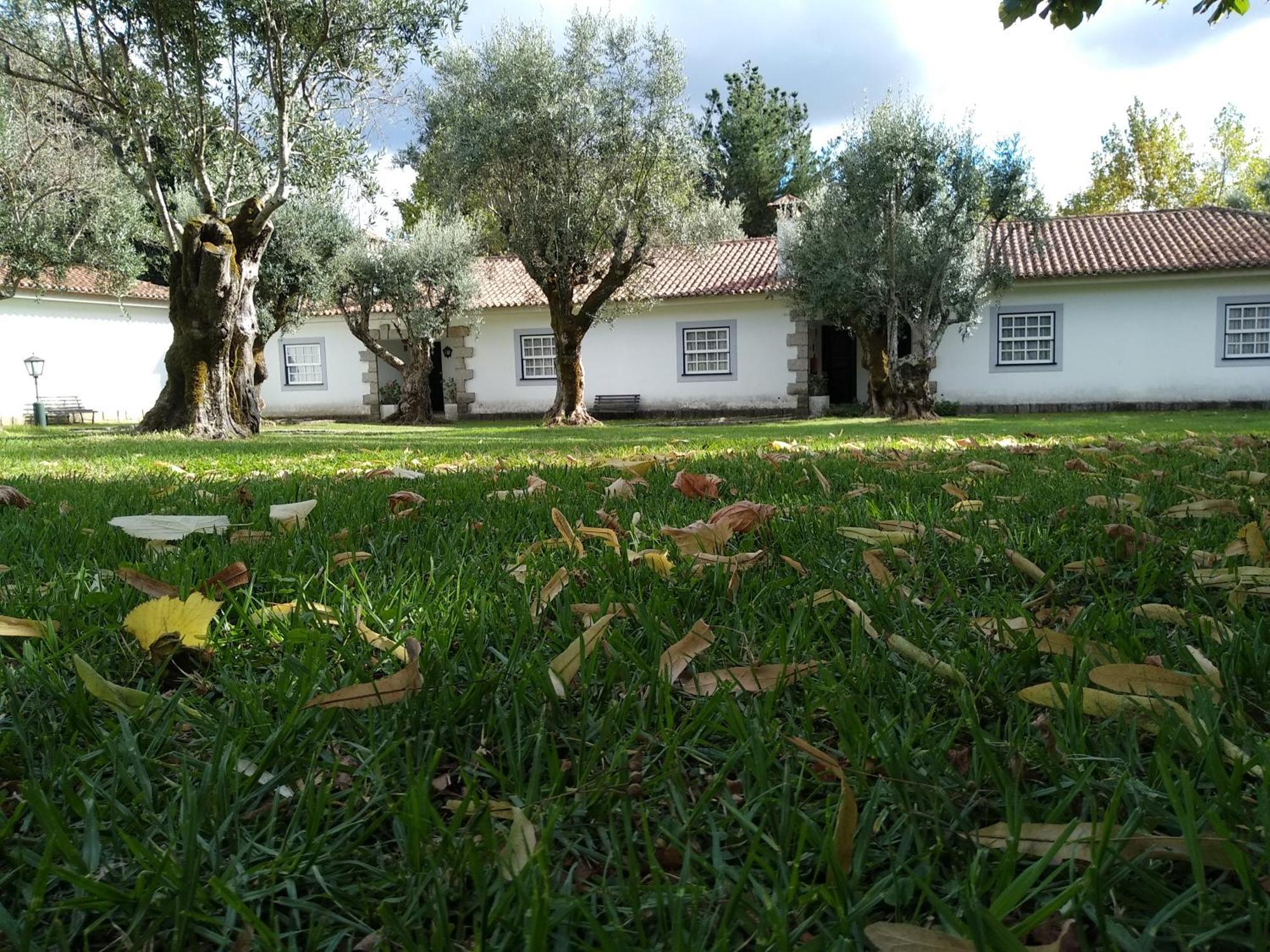 Casas Do Zagao - Turismo Rural Carregal do Sal Exterior photo